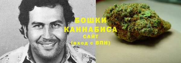 амф Бородино