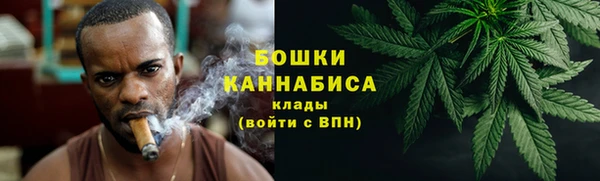 амф Бородино