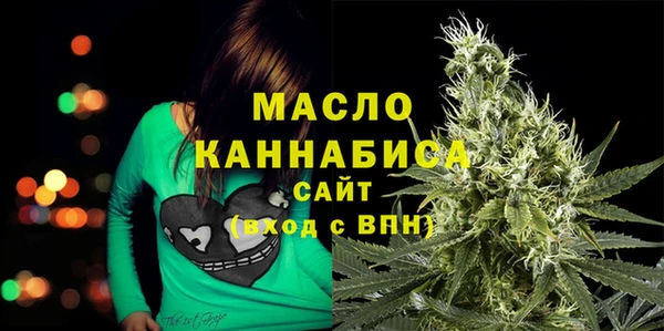 амф Бородино