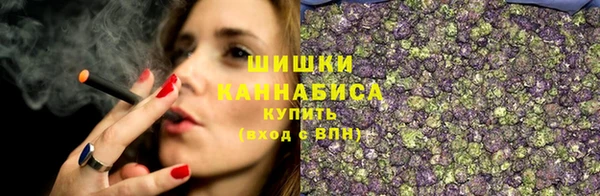 Альфа ПВП Сосновый Бор