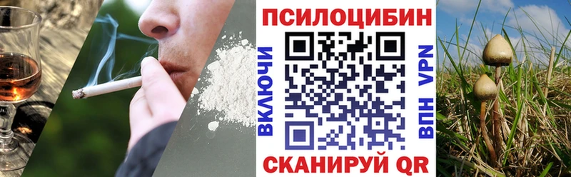 Псилоцибиновые грибы мицелий  Ивантеевка 
